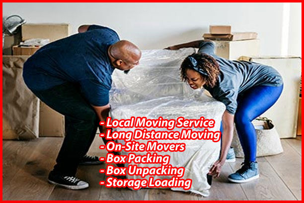 Packers And Movers Noida Sector 144